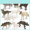 Arctic Wolf Pvc Wildlife Model Set With Realistic Detail For Nature Decor