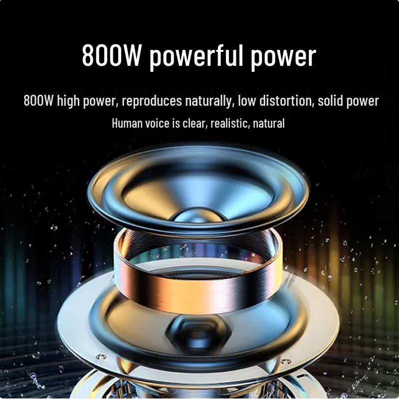 Huidu Professional 8-inch Conference Speaker