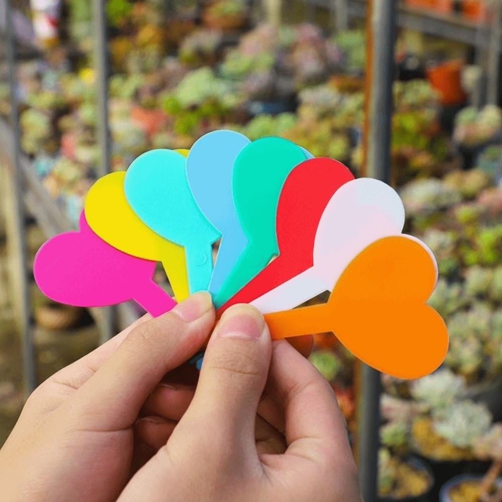 100PCS Waterproof Plant Labels Tags Reusable Succulent Signage  Succulents Identification