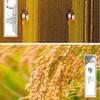 Blue Moon Aloe Hand Wash & Baihu Rice Home Combo