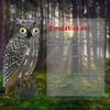 Solar Powered Owl Hunting Decoy Bird Scarer Deterrent Pest Control Garden Decor Eye Glow