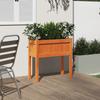 Plant Pot with Legs Wax Brown 70 X 31 X 70 Cm Solid Pine Wood