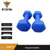 Bitoz Solid Cast Iron Dip-Coated Kettlebell Dumbbell Pair