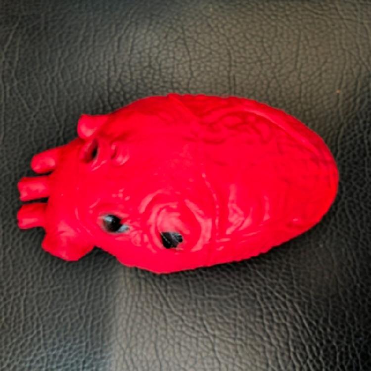 Scary Simulated Heart for Halloween Party and Horror Props Realistic Body Decoration Frightening Body Part Ornament