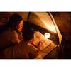 Snow Peak Hoozuki Mori ES-070GR Green Portable Lantern 300 Lumens Lightweight Camping Light