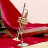 Handcrafted Saxophone Brass Gold Plated Musical Instrument Decoration With Protective Case For Music Lover