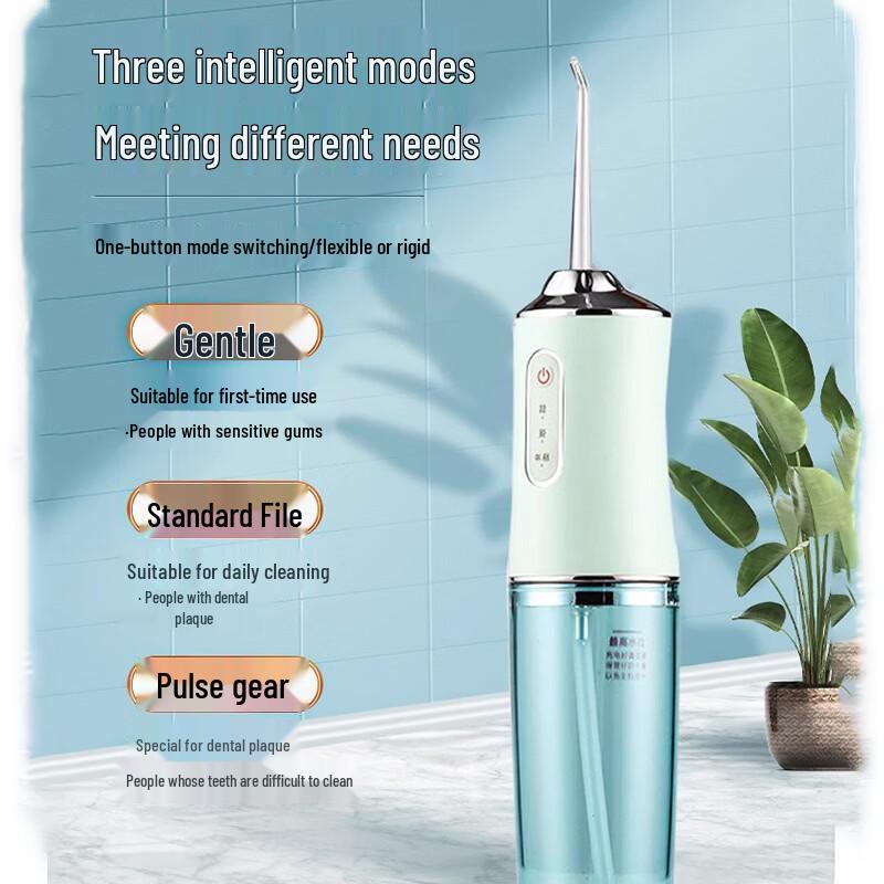 Miling Portable Electric Water Flosser CN plug (adapter included)