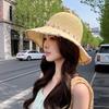 Summer Vacation Shade Fresh Flower Big Brim Straw Hat Woman