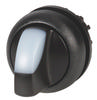 M22S-WRLK-W Switch, Illuminated, 2 Positions, White