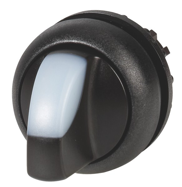 M22S-WRLK-W Switch, Illuminated, 2 Positions, White