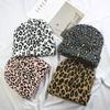 Korea Dongdaemun Leopard Print Wool Hat Autumn and Winter Female Bag Head Ins Retro Knitted Hat Couple Trend Hat