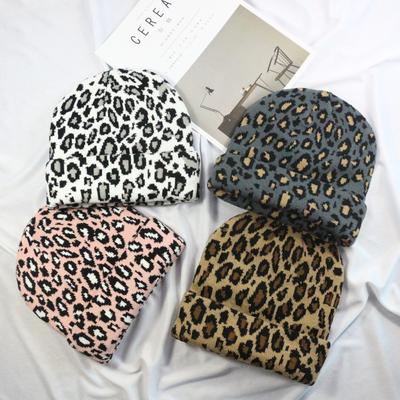 Korea Dongdaemun Leopard Print Wool Hat Autumn and Winter Female Bag Head Ins Retro Knitted Hat Couple Trend Hat
