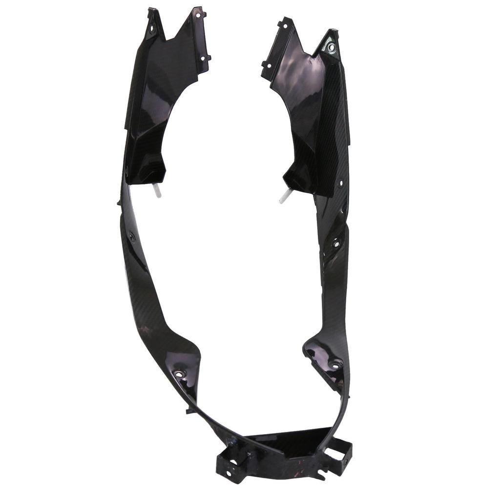 BMW S1000RR Carbon Fiber Radiator Plate Protector Accessory