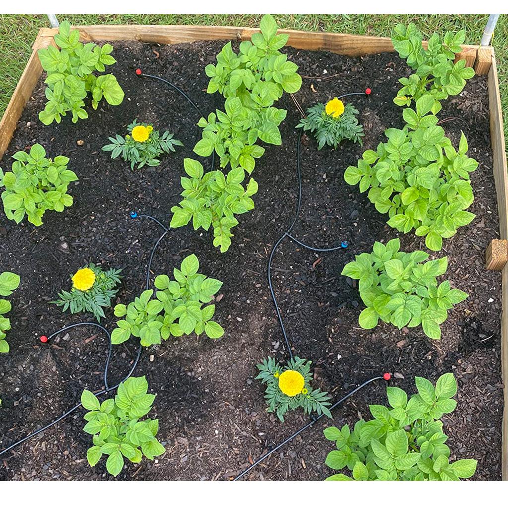 226FT Automatic Drip Irrigation Kit - Perfect for Thriving Gardens and Greenhouses