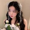 Wind Butterfly Tassel Hair Clip, Pearl Side Clip, Decoration, Super Fairy Princess Hair Accessory, Exquisite Women's Headwear