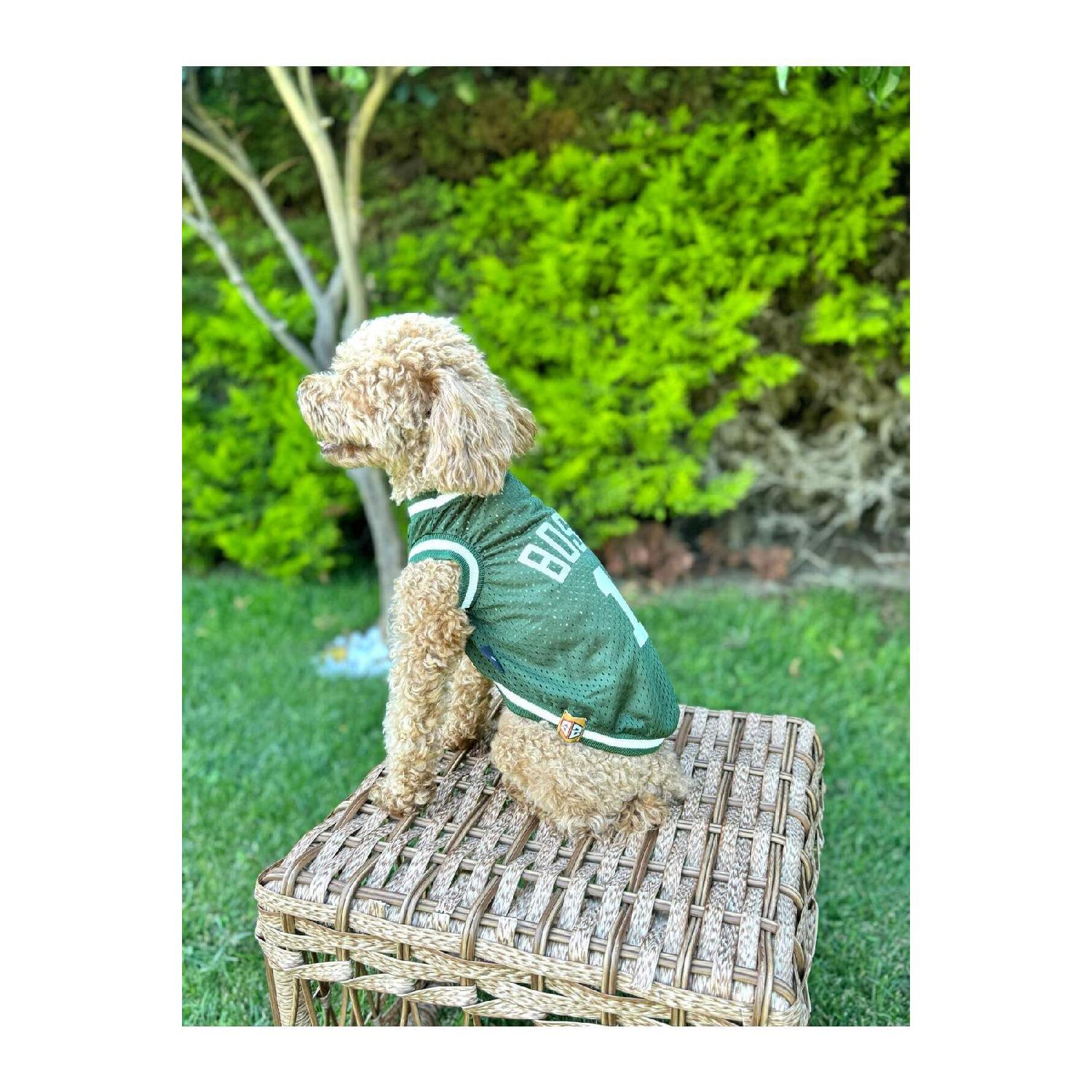 

Dog Clothing, Boston Dog Jersey, Cat Dog Dress M зелений