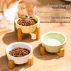 Pet Supplies: Top-Selling Cat & Dog Feeding Bowls & Drinking Utensils