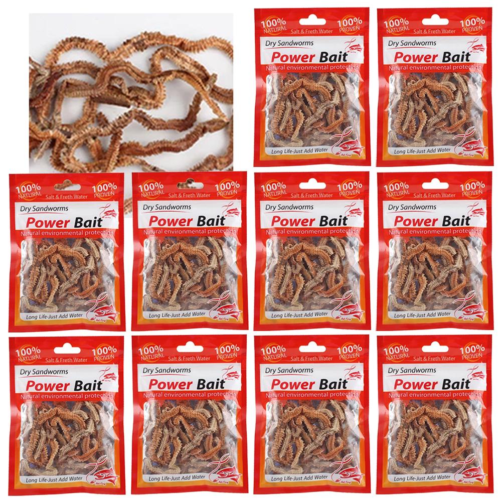 Lifelike Dry Lugworm Sandworms Fishing Lures Saltwater Freshwater Feeder Sea Fishing Worms Smell Soft Artificial Bait Lures