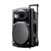 Newmine 12-inch Portable Bluetooth Trolley Speaker CN plug (adapter included)