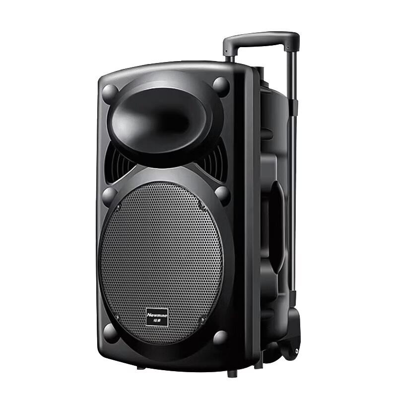 Newmine 12-inch Portable Bluetooth Trolley Speaker CN plug (adapter included)
