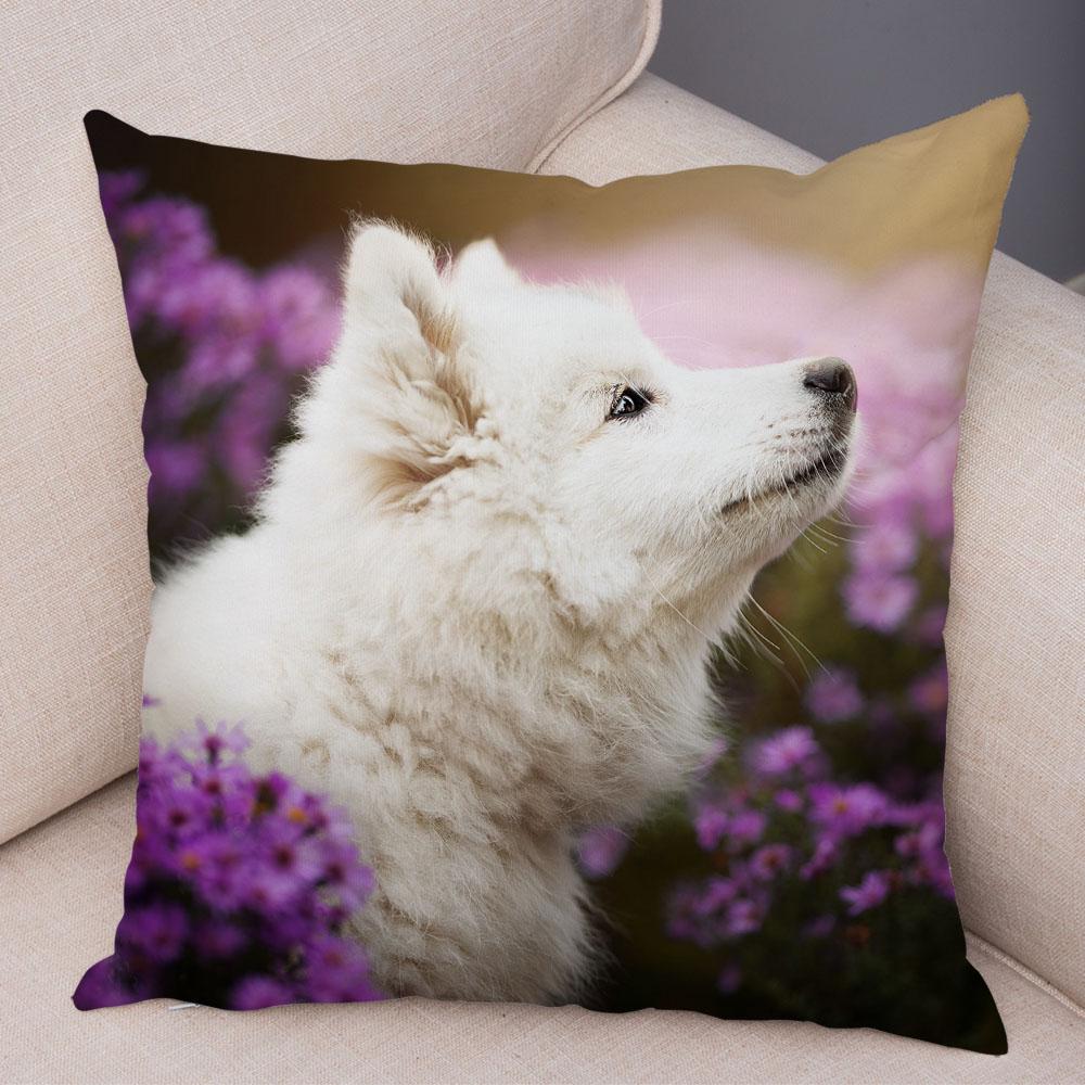 50 Stil Husă de Pernă Câine Alb Drăguț Samoyed Decor Husă de Pernă Animal de Companie Iubitor Husă de Pernă Moale de Pluș pentru Canapé Cameră Copii