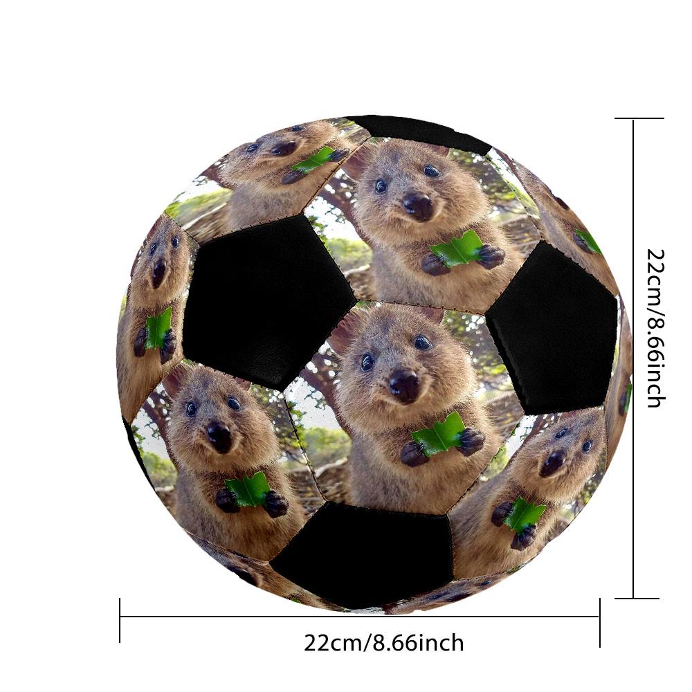Quokka Green Leaf Customized picture Size 5 Soccer football Machine-Stitched Indoor/Outdoor Training and Matches Personalized Soccer Ball