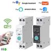 Remote Home Control As Shown DIN Rail Switch Remote Control Circuit Breaker App Integration Electrical Management