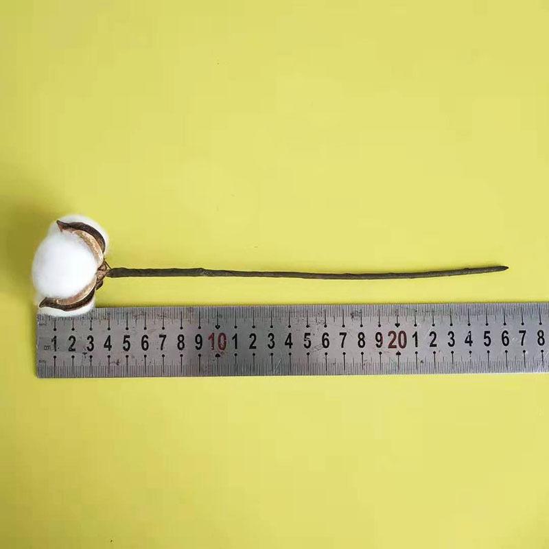 Simulation Cotton Head Natural Dried Flower Handmade Retro Country Style Flower Arrangement Wreath Bouquet Shooting Props