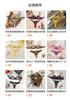 European and American Style Embroidered Mesh Erotic Underwear Set Perspective Flower Lace Bra Thong Pure Desire Wind Two-piece Set