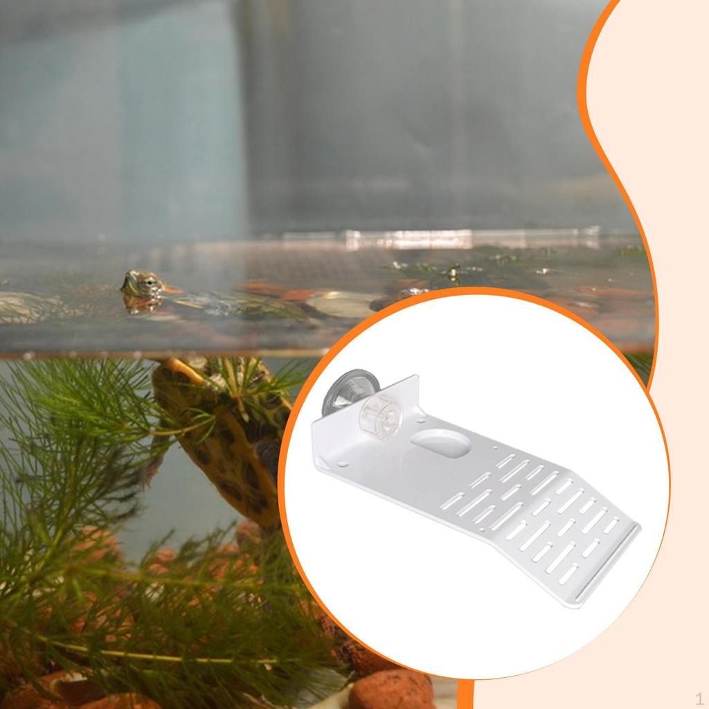 Turtle Basking Reptile Area White Float Decor Sunning for Pet Tank Amphibians Bearded