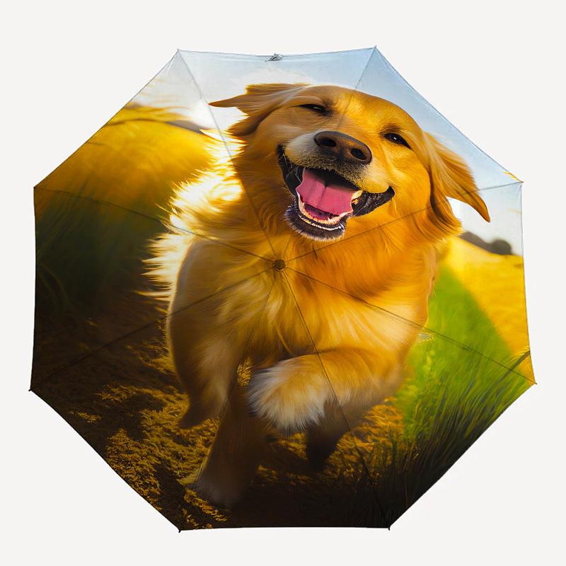 Golden Retriever, Wheat Field- Automatic umbrella,Suitable for Men and Women,Suitable for Birthdays, Christmas, Gifts for Fashion Lovers0915b