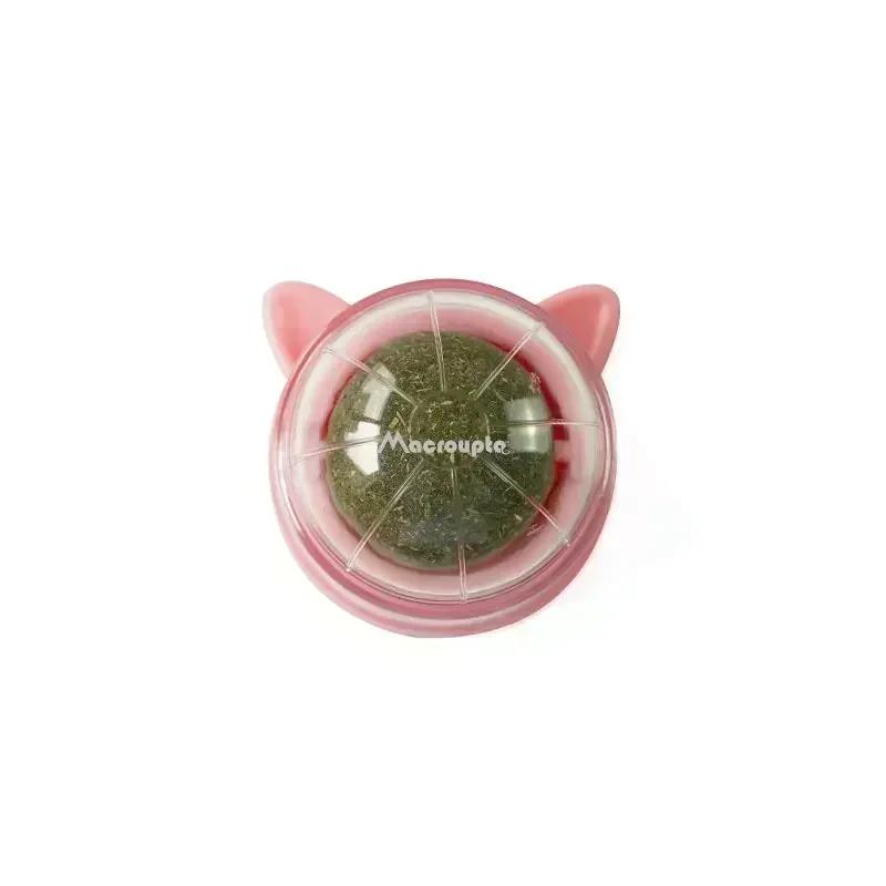 

Cat Scratch Pad Wall Sticker, Catnip Toys for Indoor Cats, Cat Grass Supplies & Health Care Products to Improve Digestion, Pet