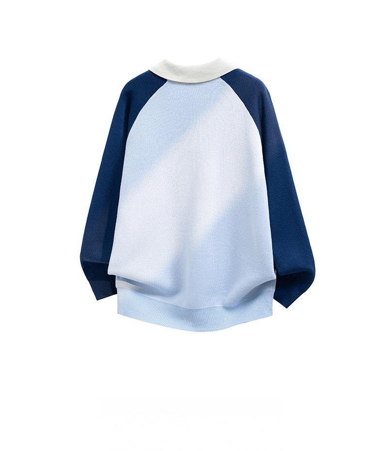 Heren V-hals Trui in Hongkong Stijl: Herfst/Winter Gebreide Polo Top met Kraag voor Tieners