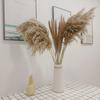 1 Bunch Dried  Reed Flowers Natural Plant Dried Pampas Grass Ornaments For Living Room Dining Tables Party Hallways Decoration