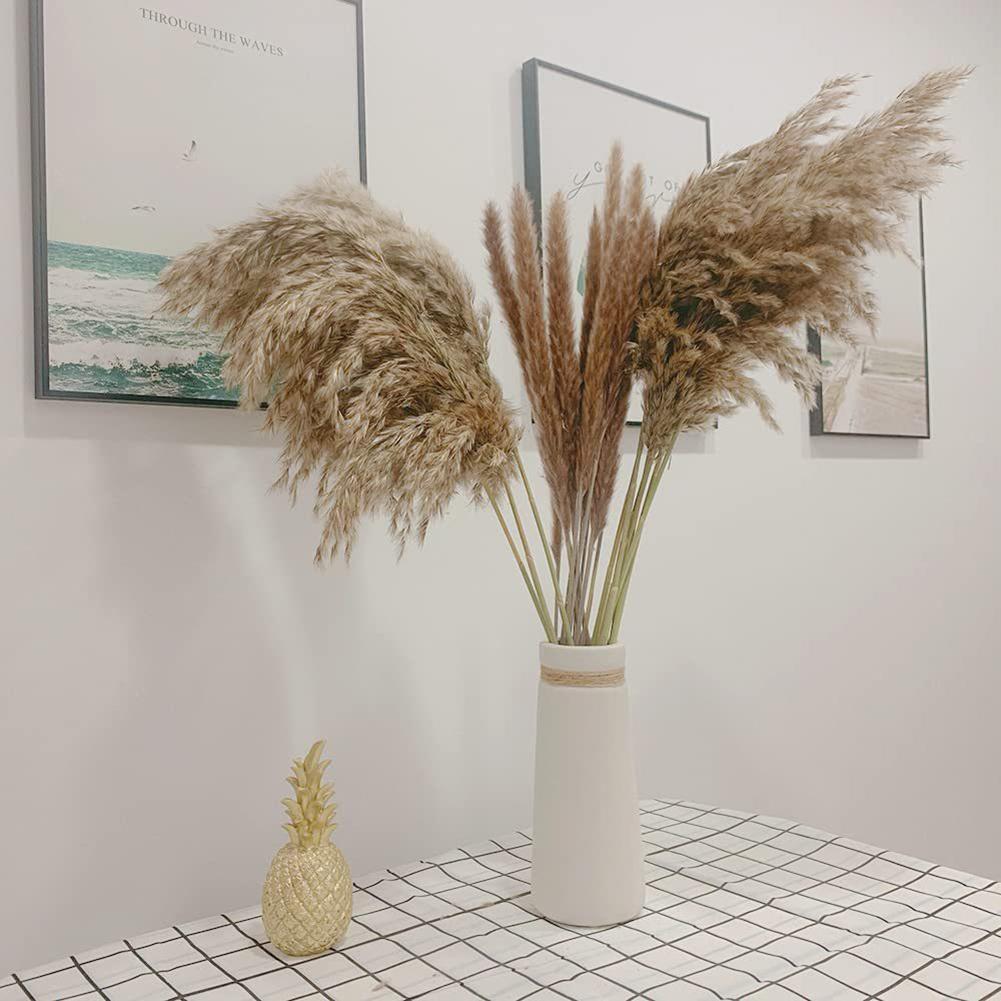 1 Bunch Dried  Reed Flowers Natural Plant Dried Pampas Grass Ornaments For Living Room Dining Tables Party Hallways Decoration