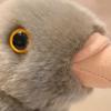 22/30CM Simulation Pigeon Plush Toy Kids Stuffed Pigeon Doll Toddlers Boys Girls Soft Bird Plushie Educational Animal Toy Decoration
