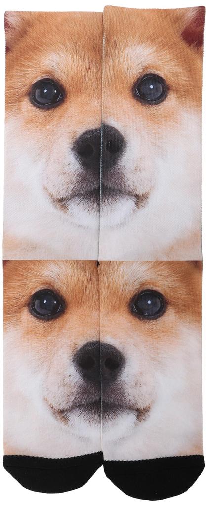 Hip Shop Shiba Inu Crew Size HE6241D101 Socks, 26-28cm,