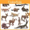 Wild Animal Pvc Model Collection With Realistic Design For Educational Display