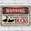 Warning Property Ducks  Funny Farmhouse Sign Lake House Decor and Duck Print Tin Signs Vintage Gifts  Use Indoors O