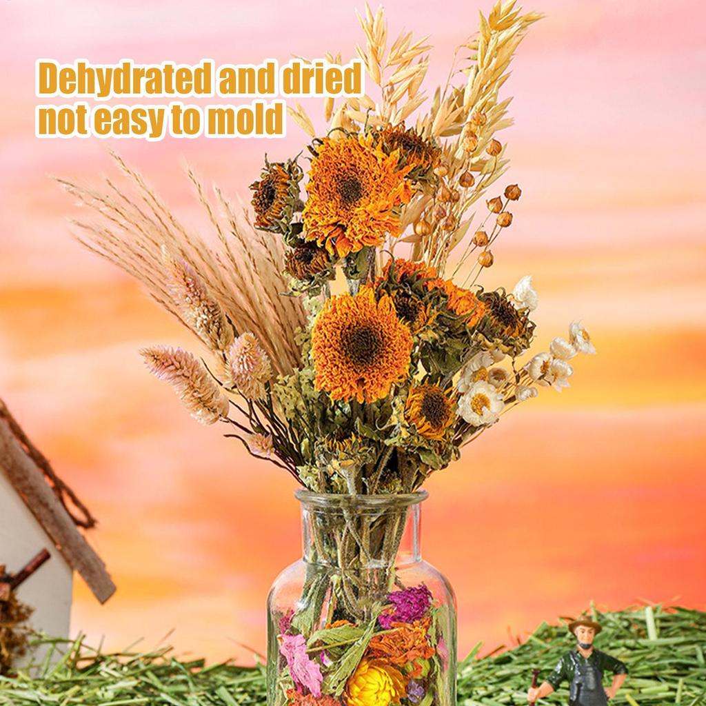 Hamster Bedding Natural Dried Flower Gerbil Bedding Odor Control Enclosure Habitat Decor For Rabbits Gerbils Or Other Small