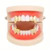 Vampire Fangs & Tiger Teeth: Hip Hop Gold & Silver Braces for Halloween