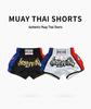 Children's Muay Thai & Sanda Training Clothing Set