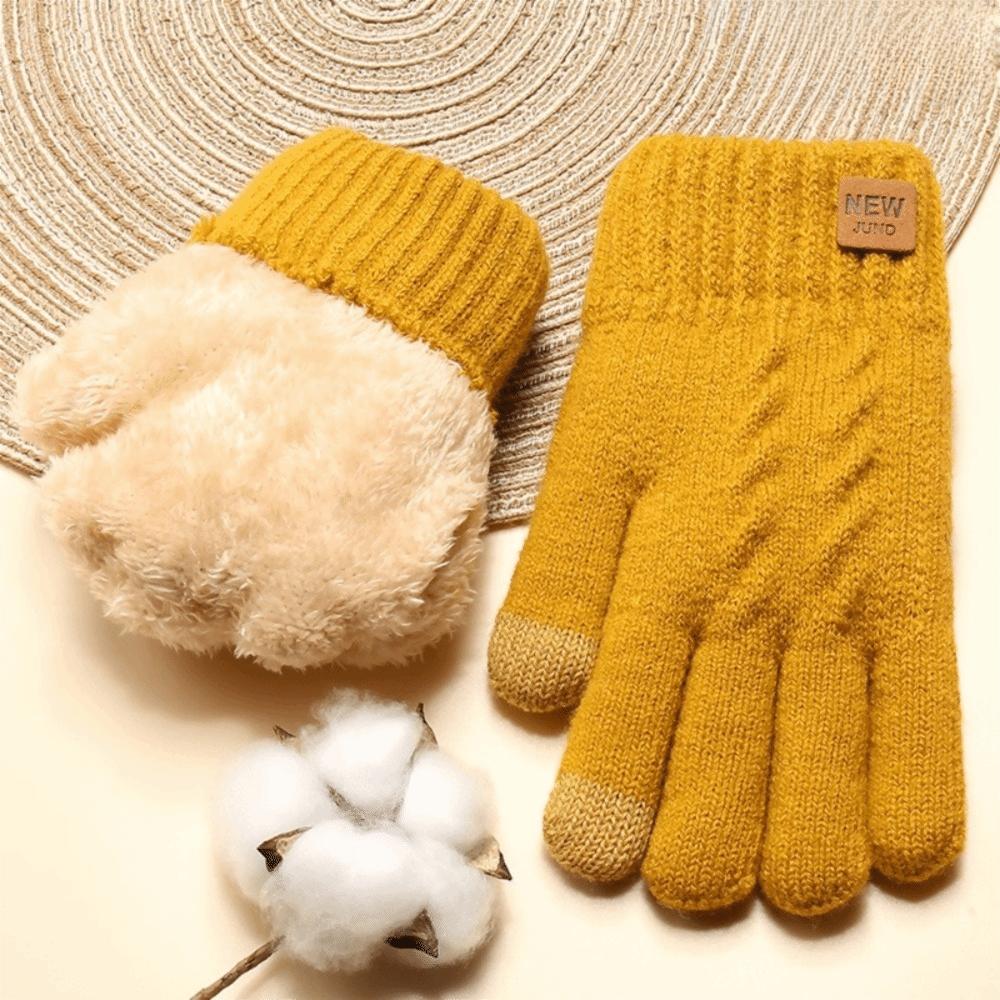 Cold Proof Touch Screen Gloves Thickened Plush Mittens Fashion Driving Gloves  Winter