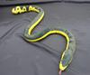 Takeoff Plush Toy - Black-backed Sea Snake