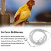 Anti-bite Flying With Leg Ring Training Rope Pet Supplies Bird Training Leash Parrot Harness