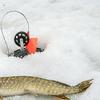 Pack of 2 Ice Fishing Flags Ice Fishing Flags Indicators Ice Fishing Tip Up Flags Set Cold Resistant For Winter Fishing