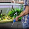 Vissen en zeedieren – Aquarium onderhoud