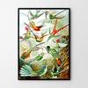 Birds of Paradise Poster Composition