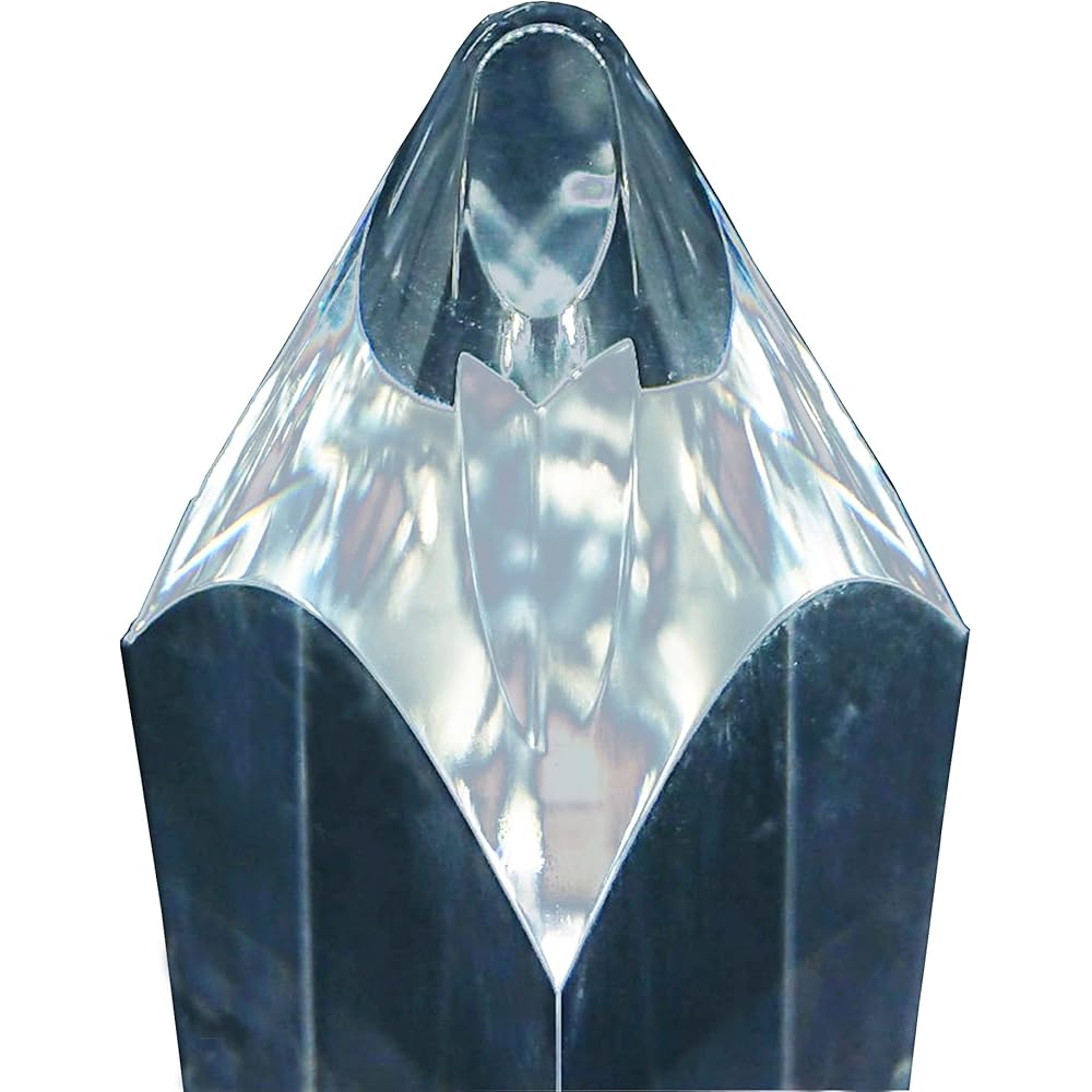 JICO Record Cartridge Replacement Stylus NUDE SH.192-N97xE (Black)