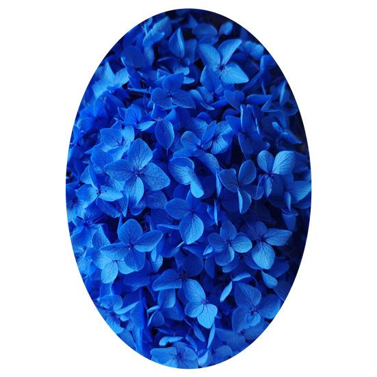 1 caja de cabezas de flores secas que no destiñen, exquisitas, 21 estilos, flores de hortensia excelentes y atractivas, decoración del hogar